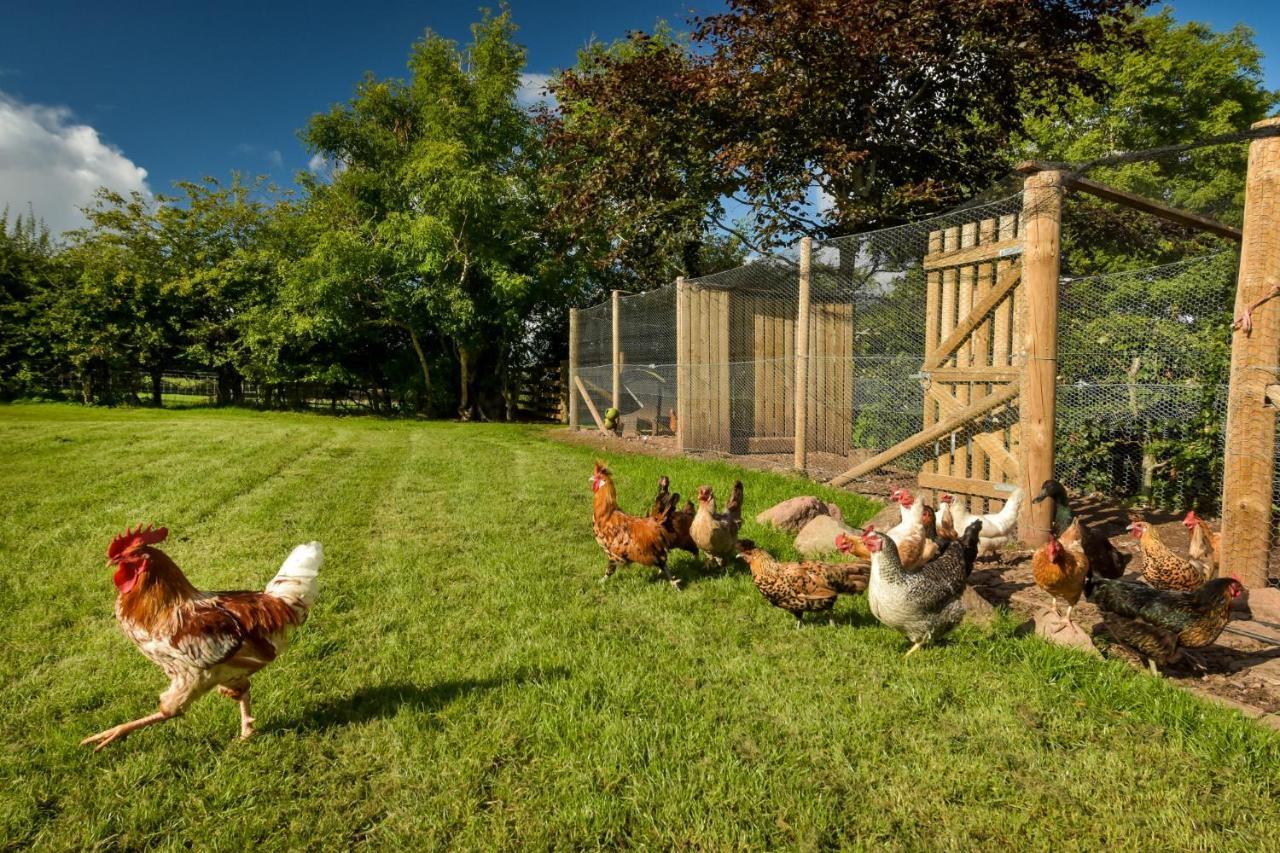 The Studio At Pitmeadow Farm Dunning エクステリア 写真
