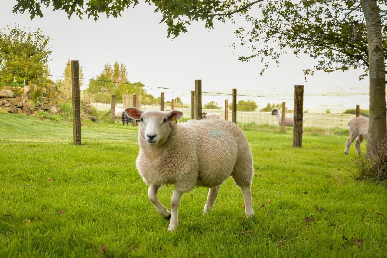 The Studio At Pitmeadow Farm Dunning エクステリア 写真