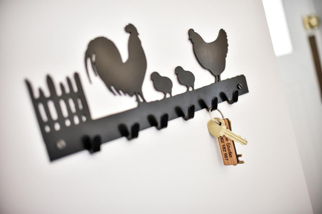 The Studio At Pitmeadow Farm Dunning エクステリア 写真